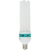 Agrobrite Compact Fluorescent Lamp