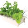 Salad Box Hydroponic Salad Garden Kit