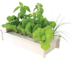 Salad Box Hydroponic Salad Garden Kit