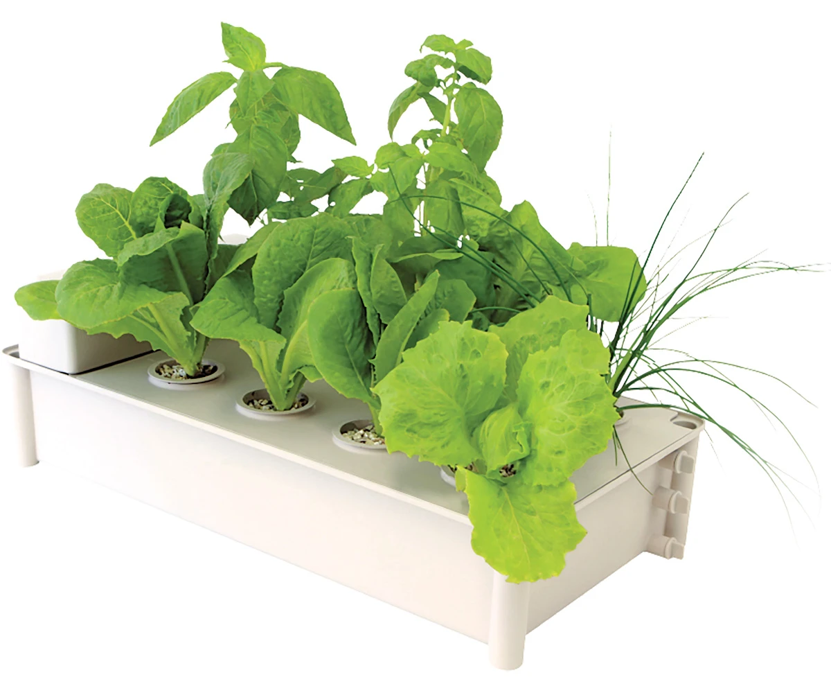 Salad Box Hydroponic Salad Garden Kit 1 Salad Box Hydroponic Salad Garden Kit