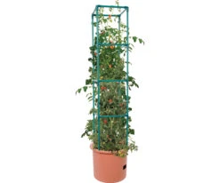 Heavy Duty Tomato Barrel W/Tower