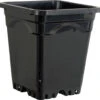 Square Black Pot