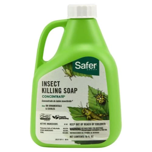 Safer® Insect Killing Soap 1 Safer® Insect Killing Soap