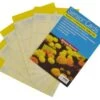 Sensor Cards Yellow Monitoring And Trapping Cards 50 Pack
