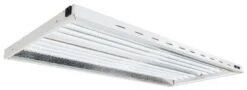 AgroLED® Sun® 48 LED 6,500° K Fixtures