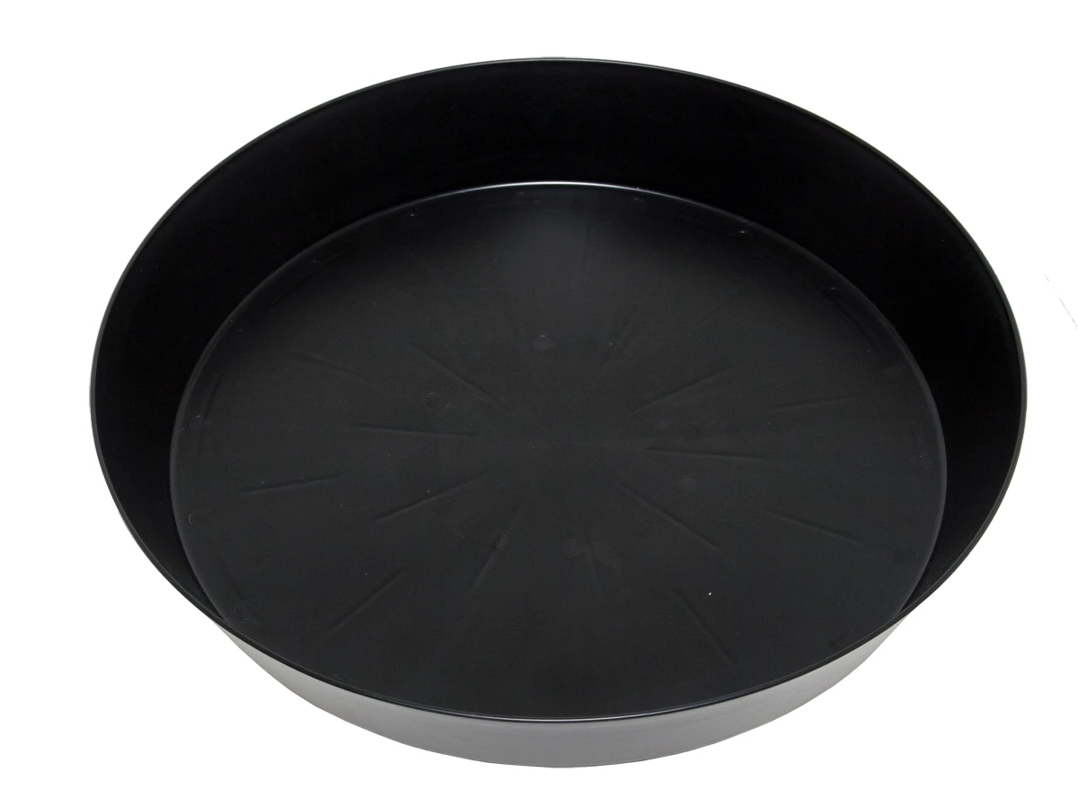 Black Super Saucer 1 Black Super Saucer