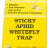 Seabright Laboratories Aphid/Whitefly Traps, 5 Pack