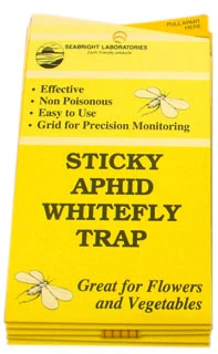 Seabright Laboratories Aphid/Whitefly Traps, 5 Pack