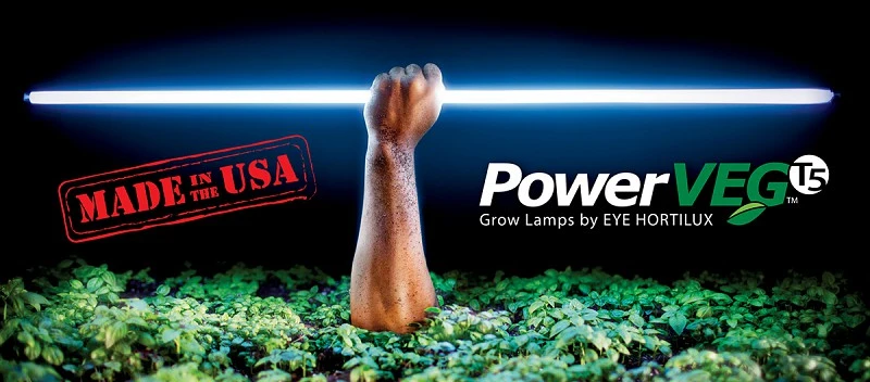 PowerVEG T5 24W 2′ HO Tube 1 PowerVEG T5 24W 2′ HO Tube