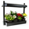 Sunblaster Micro T5 Grow Light Garden, Black