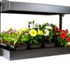 Sunblaster T5 Grow Light Garden, Black