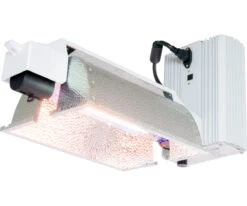 Xtrasun DE Lighting System, Enclosed, 1000W, 240V